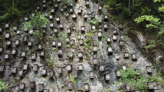 神农架官门山蜂箱航拍素材