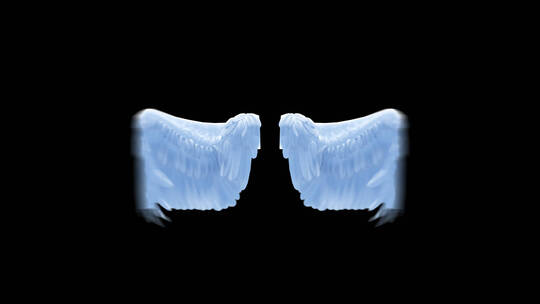 圣洁的天使白色羽毛翅膀特效合3视频素材模板下载