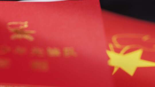 中国少年先锋队-队徽-章程-红领巾奖章视频素材模板下载