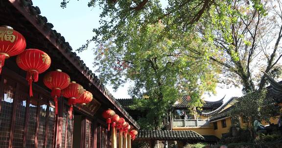 秋天阳光寺院古银杏