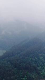 大自然清晨山间云雾缭绕竖屏航拍