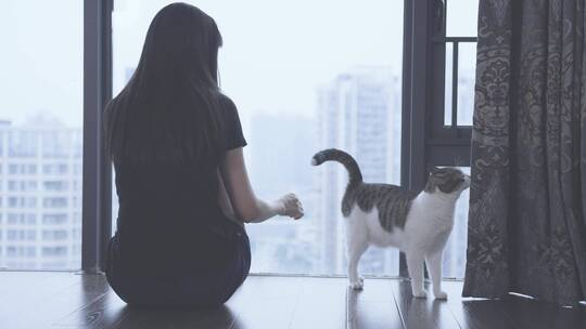 女孩在卧室落地窗边撸猫4k视频素材