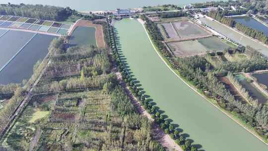 洪泽湖 泄洪闸 水道灌溉 河水 农田灌溉3