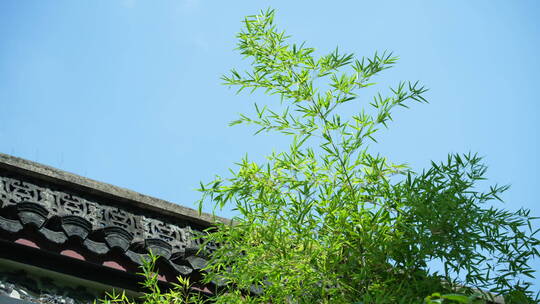 武汉汉阳区晴川阁禹稷行宫