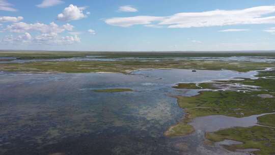 内蒙古生态修复土地复垦湖泊动物视频素材模板下载