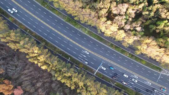东北秋季公路风景航拍视频素材模板下载