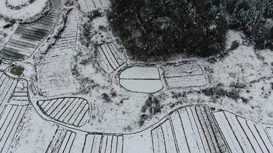 航拍 田园 冬天 雪景 农业