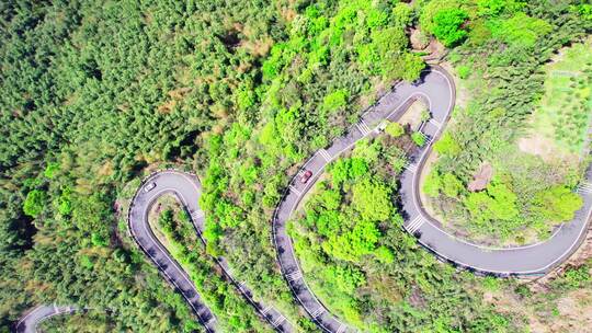 中国萧山寺坞岭乡村竹海中弯曲的盘山公路