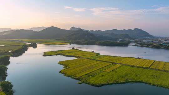 稻田湖泊航拍延时