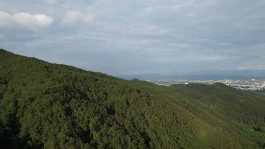 大山实拍