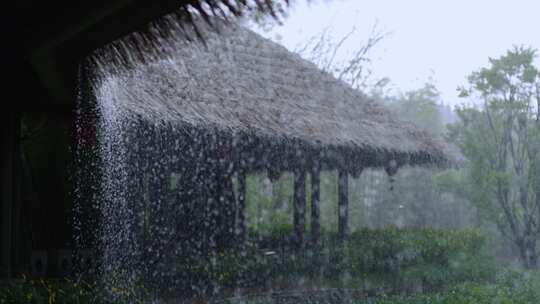 草棚下大雨