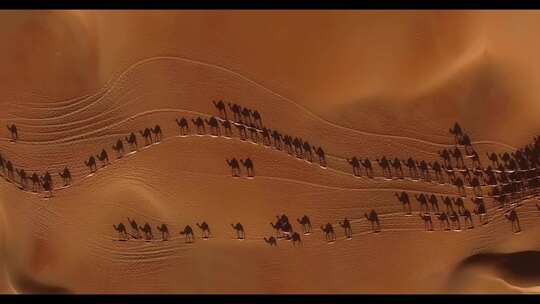 丝绸之路、俯拍沙漠中的驼队、一带一路