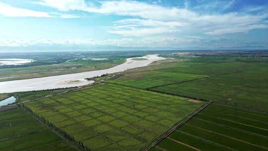 黄河农业生态稻田-河流平原大地