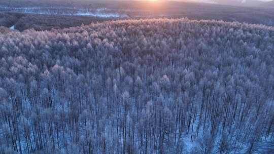 航拍林海雪原雾凇暖阳视频素材模板下载