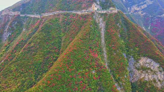 航拍巫峡红叶