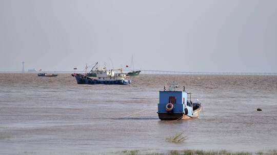 杭州湾海边城市岛屿礁石海浪