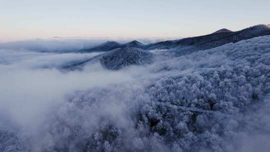 山景中冬季森林的无人机镜头