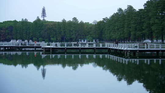 武汉东湖风景区碧潭观鱼