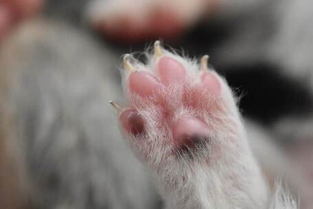 河源万绿湖 悠远 原声 宁静 宣传片