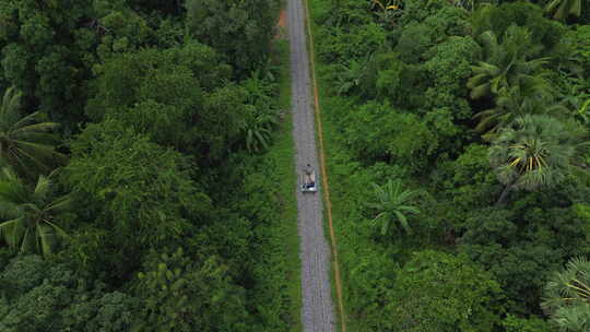 穿越马德望市附近柬埔寨丛林的竹铁路平顶