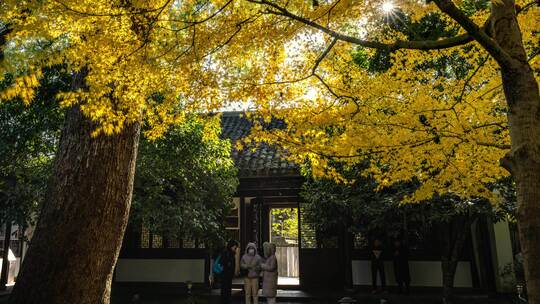 中国杭州 西湖景区玛瑙寺圆拱门黄金枫树