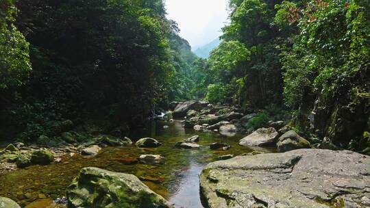 广西上林大明山森林穿山航拍