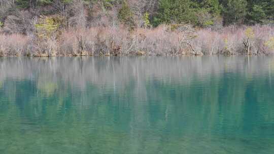 四川阿坝州九寨沟冬日山水