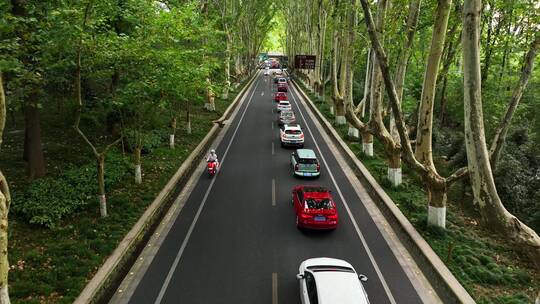 航拍中山陵景区陵园路