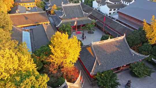 上海秋天 龙华寺秋天 上海地标秋色