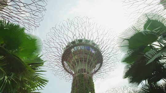 新加坡唯美滨海湾花园 (2)