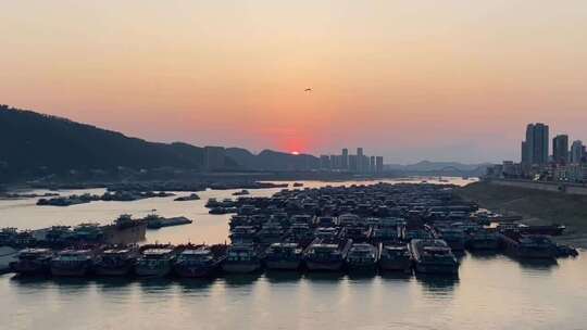 广西梧州西江夕阳下的江面船只聚集景象