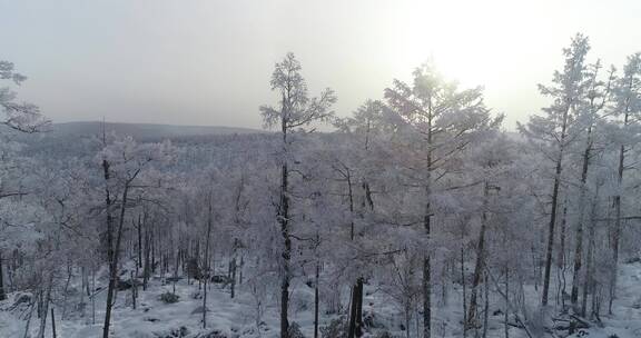 零下40度的低温航拍大兴安岭冰雪雾凇