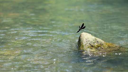 山涧溪河流水自然之美升格