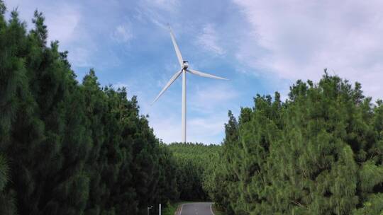 风车树林蓝天白云小清新天空夏天情绪风景