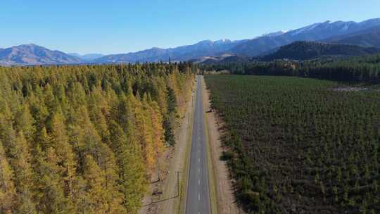 空旷的公路经过秋天的森林在山谷对山