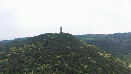 青秀山 龙象塔