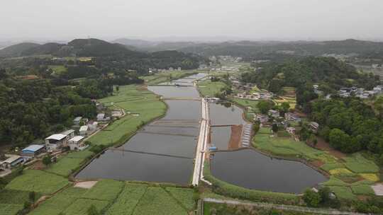 乡村振兴养殖 航拍生态鱼塘