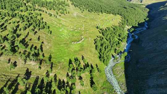 航拍新疆东天山原始森林高山草原风光