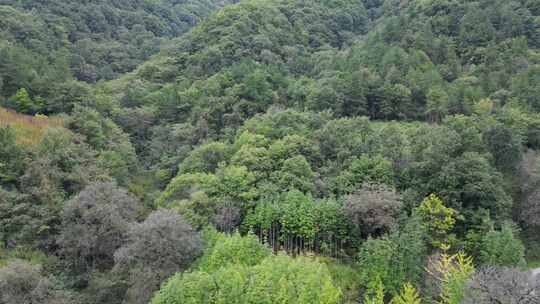 秦岭腹地的山川