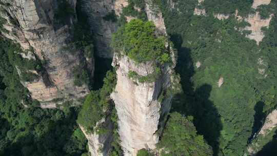 湖南省张家界景区阿凡达取景地奇峰穿云航拍