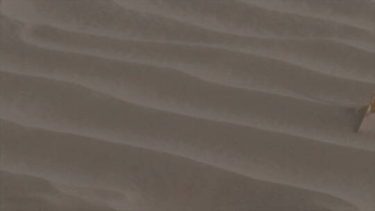 新疆 沙尘天气 沙地上道道沙沟特写 组镜