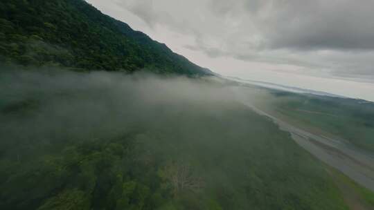 云雾缭绕的山林自然景观