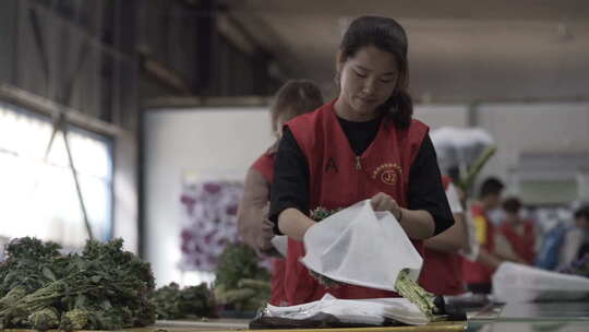 云南地拍种花基地内花农整理成品鲜花中景