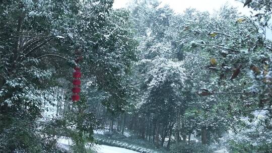 杭州上天竺法喜讲寺下雪天风景