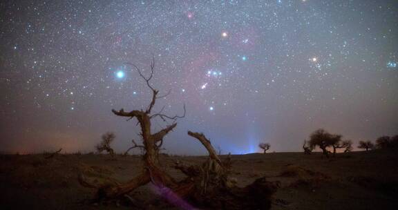 内蒙古怪树林景区星空银河