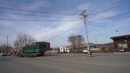 旅行 沿途 风景 公路 树