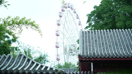 武汉东湖磨山景区盆景园