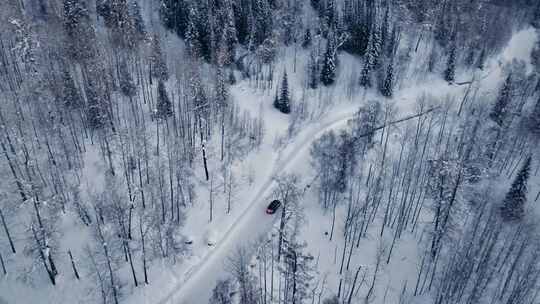 汽车行驶在雪景树林森林针叶林