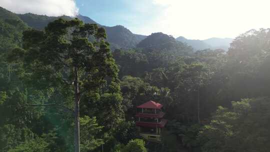 菲律宾山区热带雨林风景如画的鸟瞰图