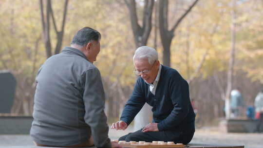 老大爷公园下象棋视频素材模板下载